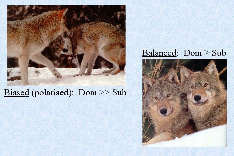 Balanced: Dom ≥ Sub Biased (polarised): Dom >> Sub 