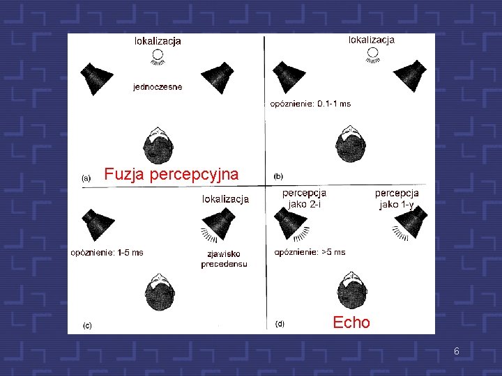 Fuzja percepcyjna Echo 6 