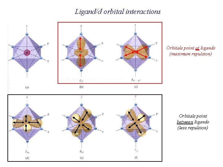 Ligand/d orbital interactions Orbitals point at ligands (maximum repulsion) Orbitals point between ligands (less