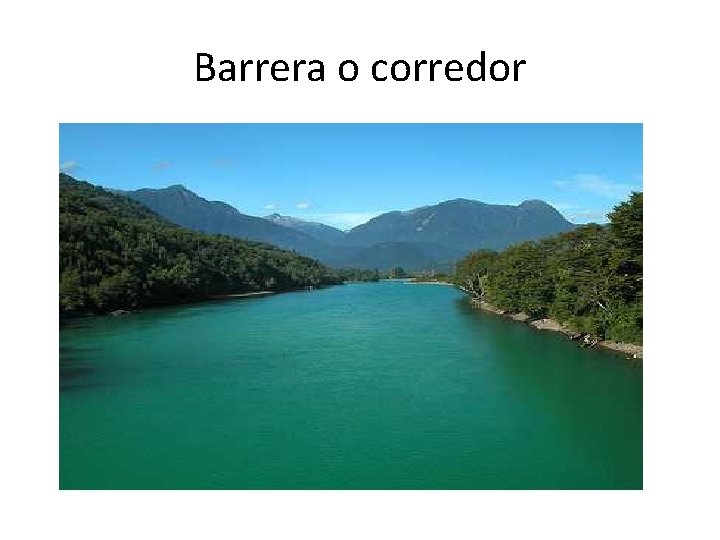 Barrera o corredor 
