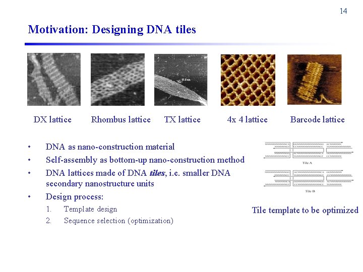 14 Motivation: Designing DNA tiles DX lattice • • Rhombus lattice TX lattice 4