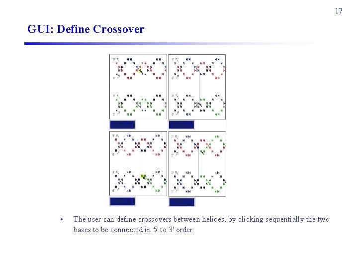 17 GUI: Define Crossover • The user can define crossovers between helices, by clicking