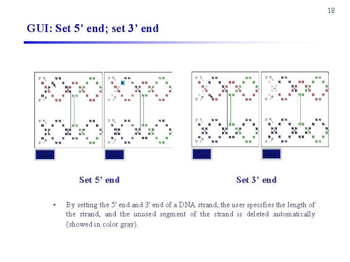 18 GUI: Set 5’ end; set 3’ end Set 5’ end • Set 3’