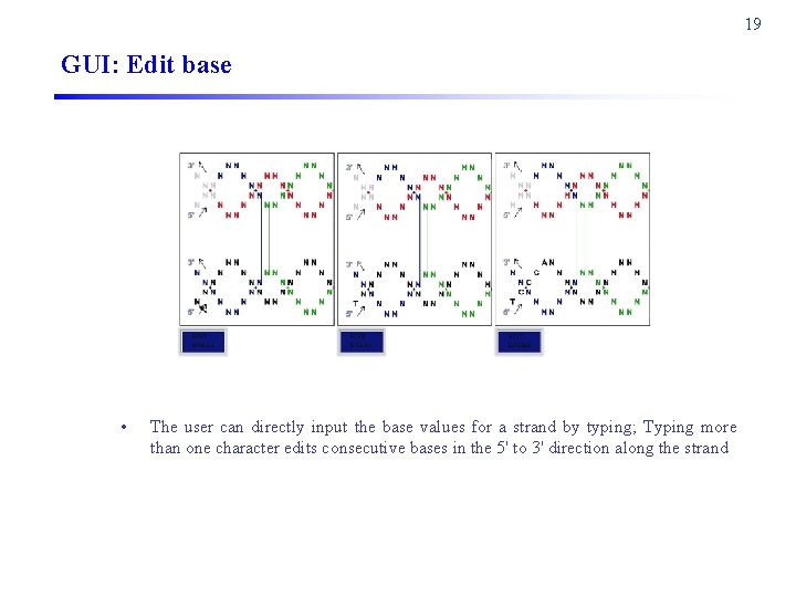 19 GUI: Edit base • The user can directly input the base values for