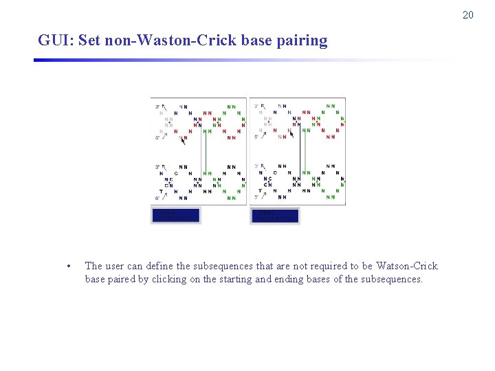 20 GUI: Set non-Waston-Crick base pairing • The user can define the subsequences that