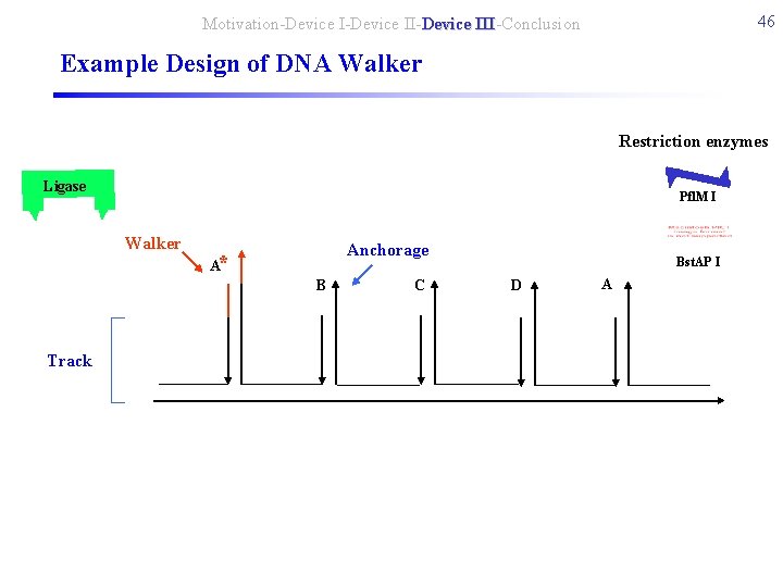 46 Motivation-Device II-Device III-Conclusion III Example Design of DNA Walker Restriction enzymes Ligase Pfl.