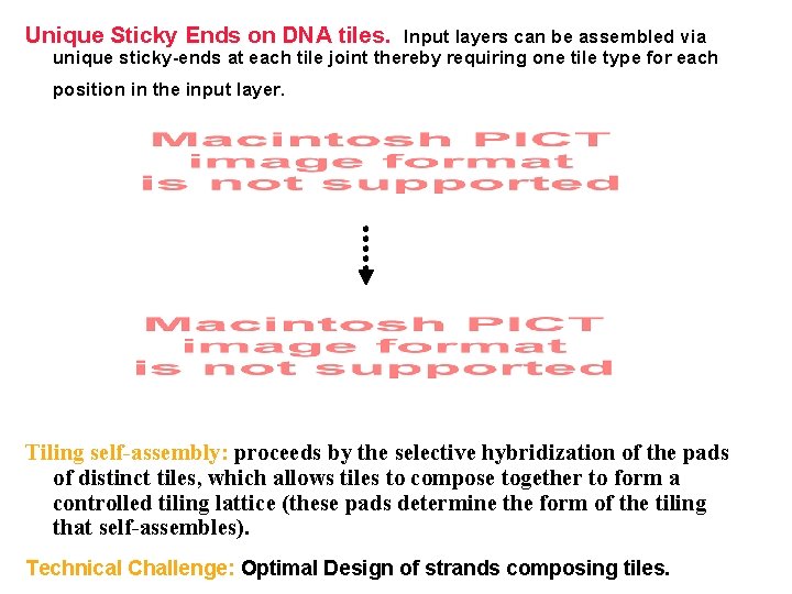 Unique Sticky Ends on DNA tiles. Input layers can be assembled via unique sticky-ends