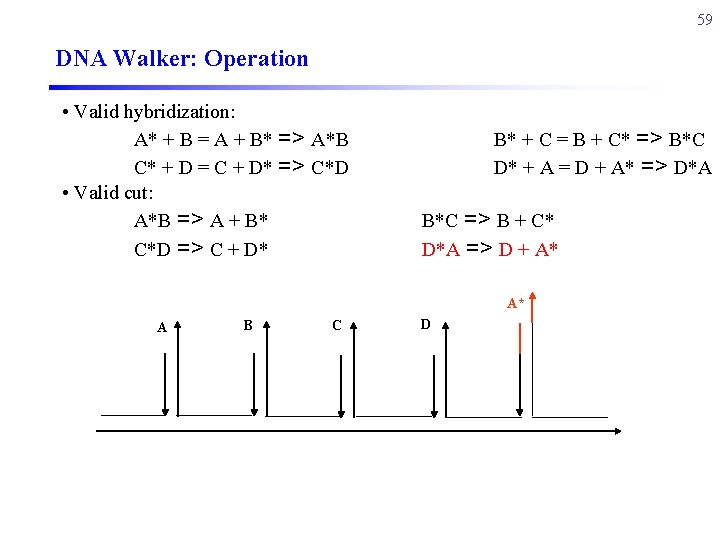 59 DNA Walker: Operation • Valid hybridization: A* + B = A + B*