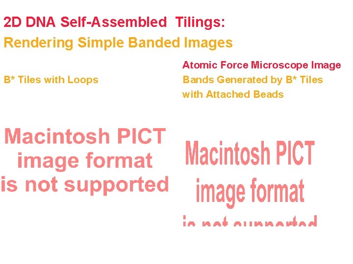 2 D DNA Self-Assembled Tilings: Rendering Simple Banded Images B* Tiles with Loops Atomic