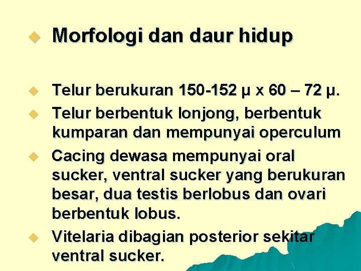 u Morfologi dan daur hidup u Telur berukuran 150 -152 µ x 60 –