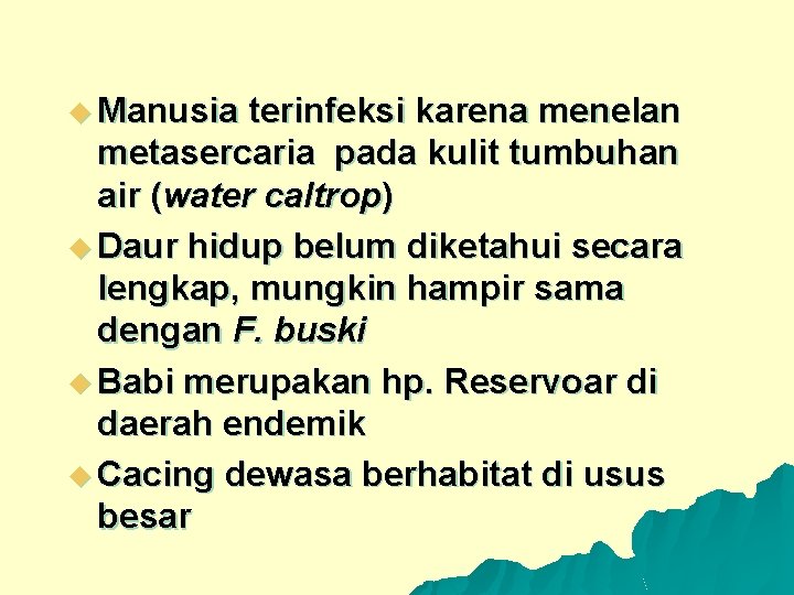 u Manusia terinfeksi karena menelan metasercaria pada kulit tumbuhan air (water caltrop) u Daur