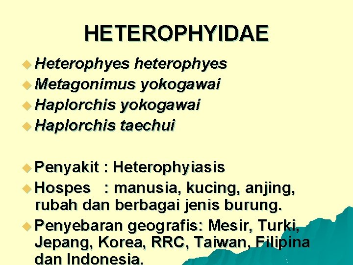 HETEROPHYIDAE u Heterophyes heterophyes u Metagonimus yokogawai u Haplorchis taechui u Penyakit : Heterophyiasis