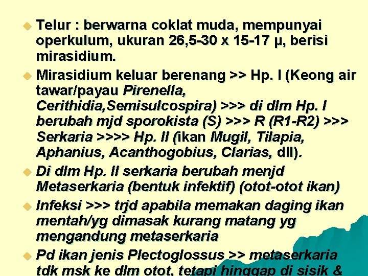 Telur : berwarna coklat muda, mempunyai operkulum, ukuran 26, 5 -30 x 15 -17