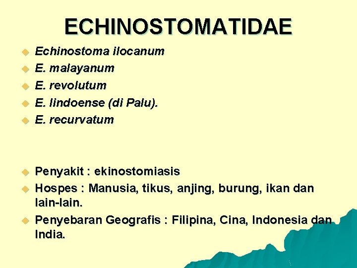 ECHINOSTOMATIDAE u u u u Echinostoma ilocanum E. malayanum E. revolutum E. lindoense (di