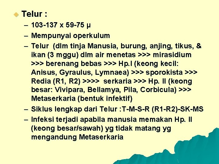 u Telur : – – – 103 -137 x 59 -75 µ Mempunyai operkulum