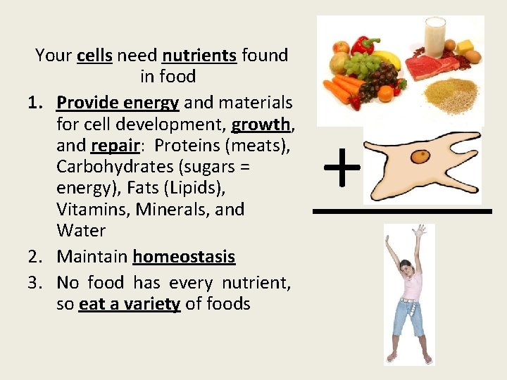 Your cells need nutrients found in food 1. Provide energy and materials for cell