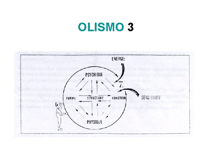 OLISMO 3 