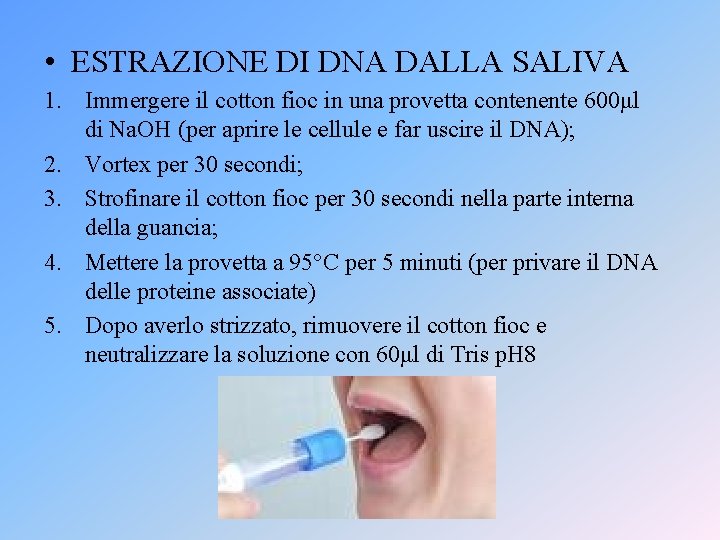  • ESTRAZIONE DI DNA DALLA SALIVA 1. Immergere il cotton fioc in una