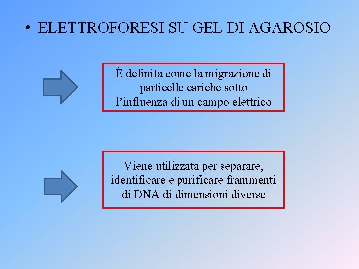  • ELETTROFORESI SU GEL DI AGAROSIO È definita come la migrazione di particelle