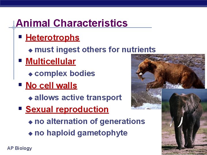 Animal Characteristics § Heterotrophs u must ingest others for nutrients § Multicellular u complex