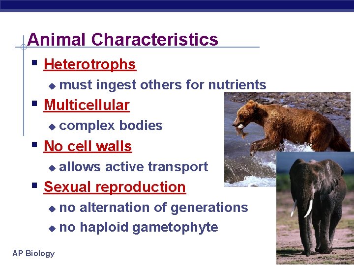Kingdom Animals Domain Eukarya Domain Eubacteria AP Biology