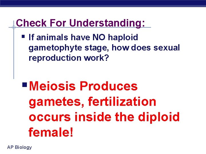 Check For Understanding: § If animals have NO haploid gametophyte stage, how does sexual