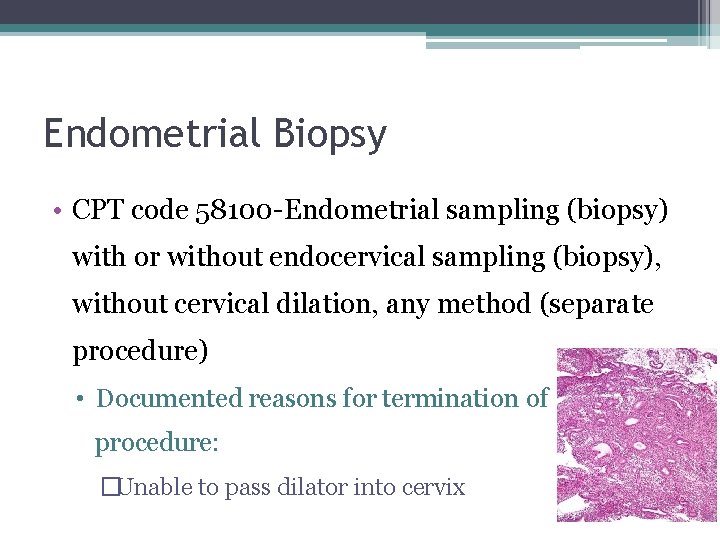 Endometrial Biopsy • CPT code 58100 -Endometrial sampling (biopsy) with or without endocervical sampling