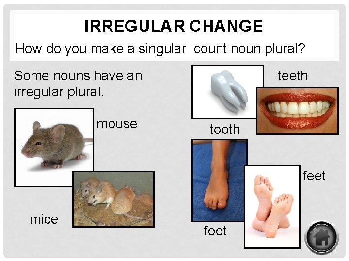 IRREGULAR CHANGE How do you make a singular count noun plural? Some nouns have