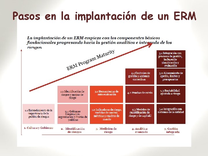 Pasos en la implantación de un ERM 