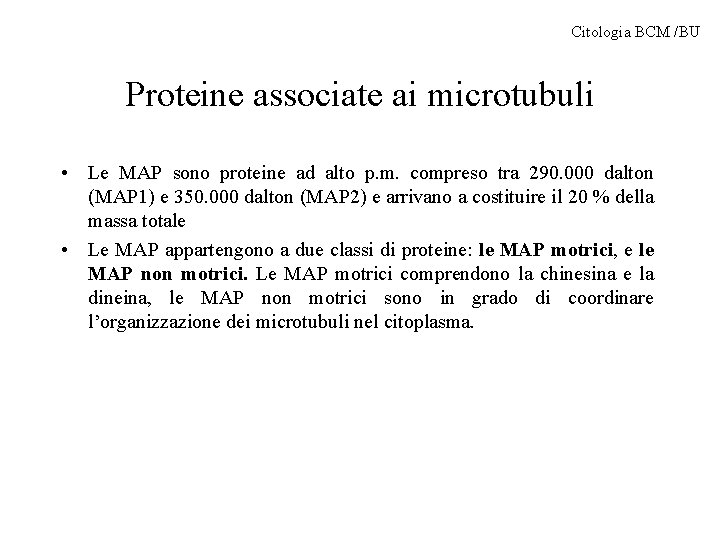 Citologia BCM /BU Proteine associate ai microtubuli • Le MAP sono proteine ad alto