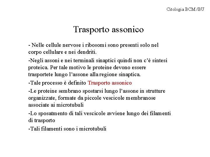 Citologia BCM /BU Trasporto assonico - Nelle cellule nervose i ribosomi sono presenti solo