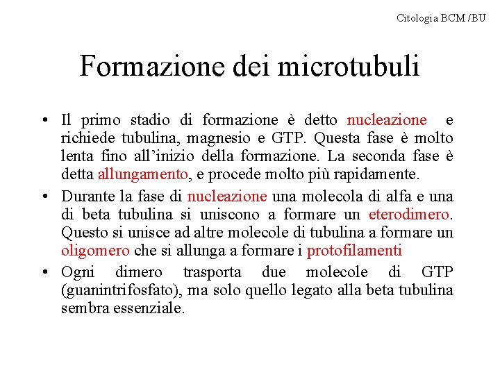 Citologia BCM /BU Formazione dei microtubuli • Il primo stadio di formazione è detto