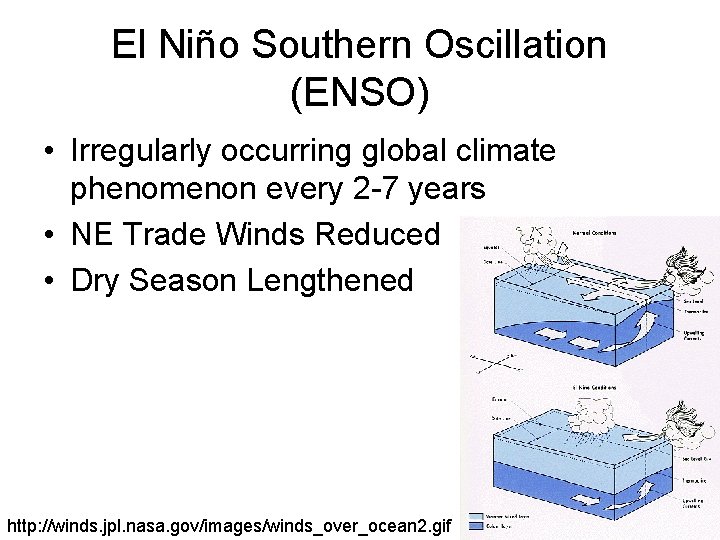 El Niño Southern Oscillation (ENSO) • Irregularly occurring global climate phenomenon every 2 -7