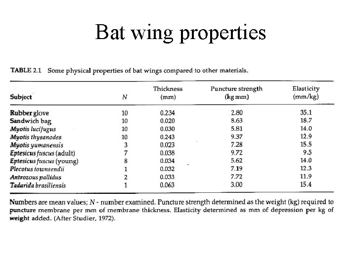 Bat wing properties 