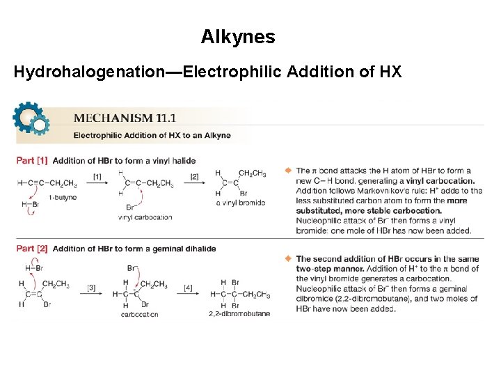 Alkynes Hydrohalogenation—Electrophilic Addition of HX 