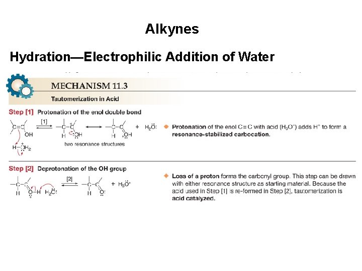 Alkynes Hydration—Electrophilic Addition of Water 