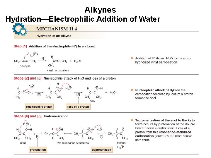 Alkynes Hydration—Electrophilic Addition of Water 