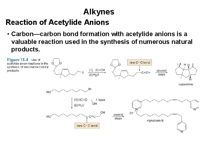 Alkynes Reaction of Acetylide Anions • Carbon—carbon bond formation with acetylide anions is a