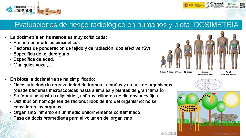 Evaluaciones de riesgo radiológico en humanos y biota: DOSIMETRÍA • La dosimetría en humanos