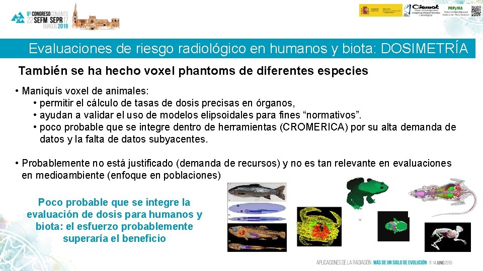 Evaluaciones de riesgo radiológico en humanos y biota: DOSIMETRÍA También se ha hecho voxel