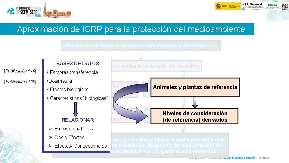 Aproximación de ICRP para la protección del medioambiente BASES DE DATOS [Publicación 114] •