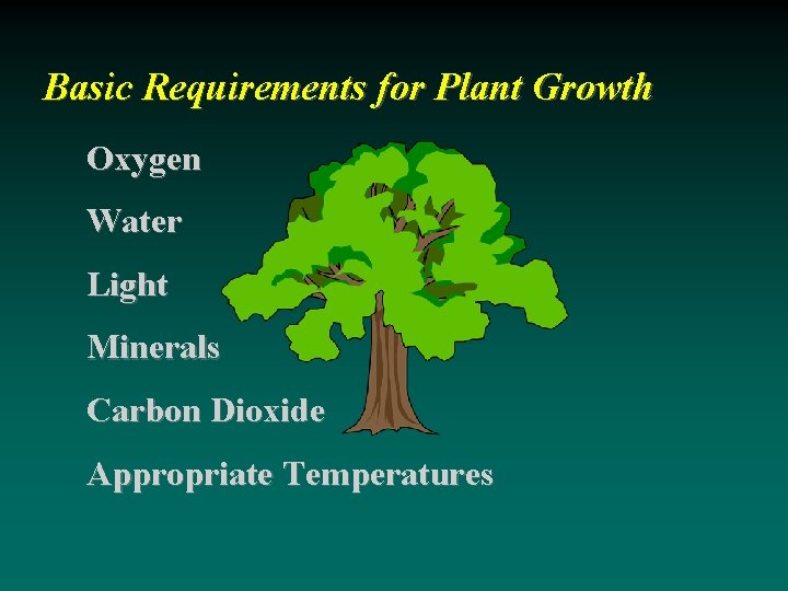 Basic Requirements for Plant Growth Oxygen Water Light Minerals Carbon Dioxide Appropriate Temperatures 