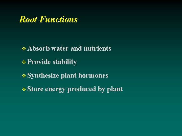 Root Functions Absorb water and nutrients Provide stability Synthesize plant hormones Store energy produced