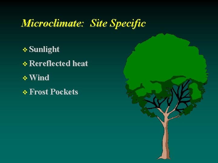 Microclimate: Site Specific Sunlight Rereflected heat Wind Frost Pockets 