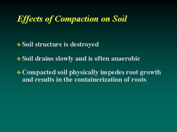 Effects of Compaction on Soil structure is destroyed Soil drains slowly and is often