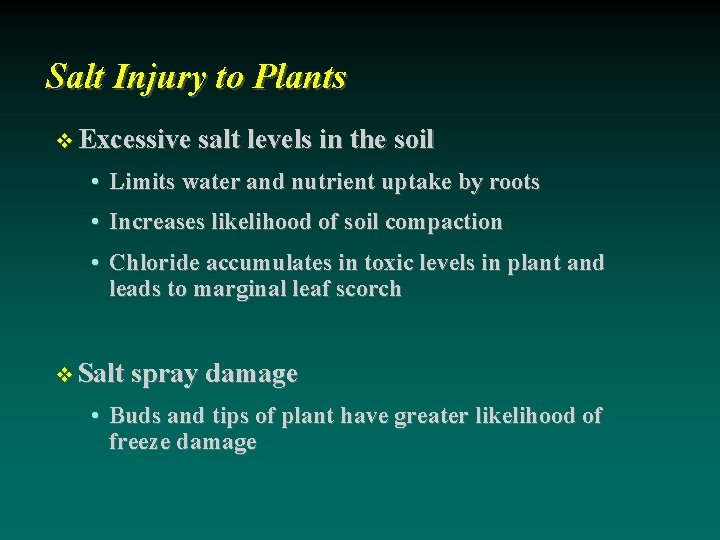 Salt Injury to Plants Excessive salt levels in the soil • Limits water and