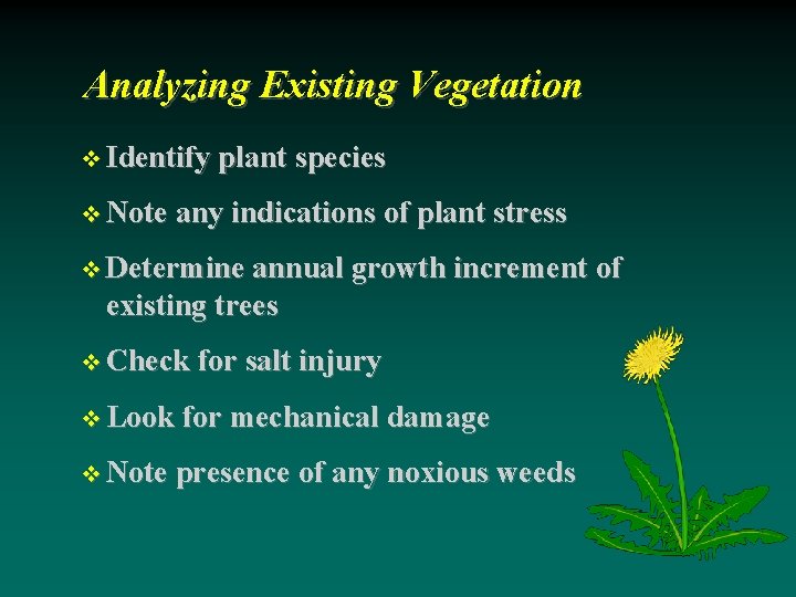 Analyzing Existing Vegetation Identify plant species Note any indications of plant stress Determine annual