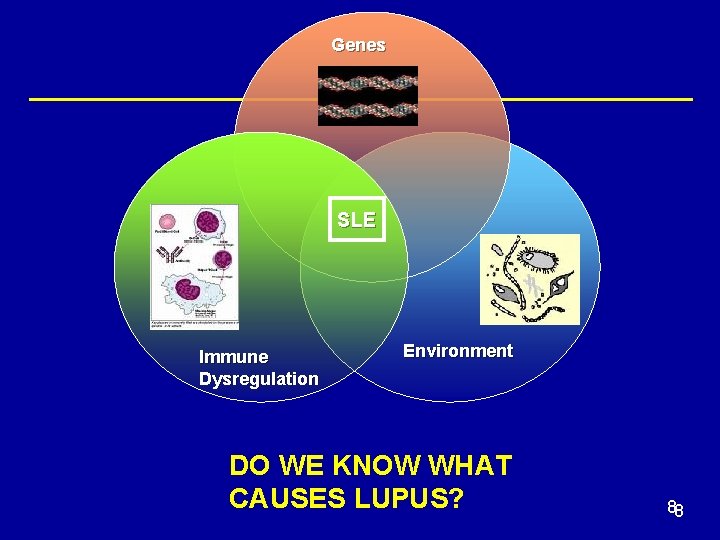 Genes SLE Immune Dysregulation Environment DO WE KNOW WHAT CAUSES LUPUS? 88 
