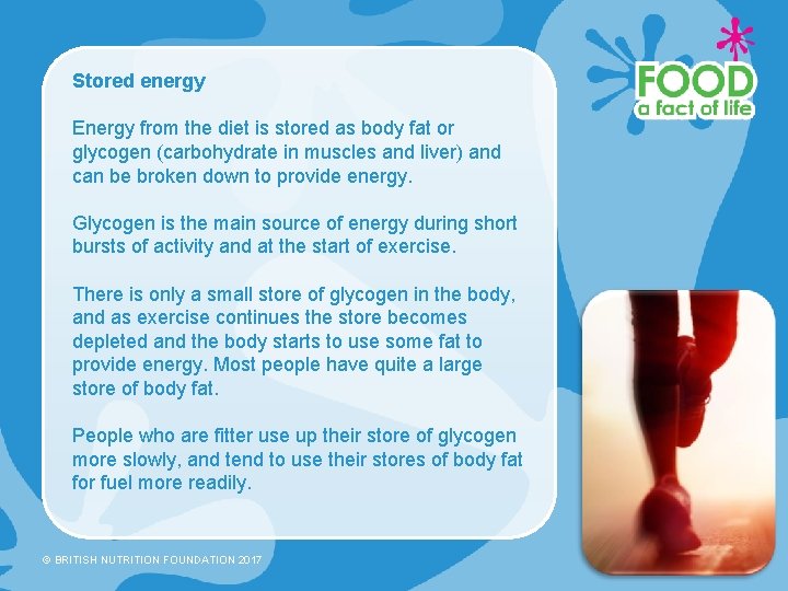 Stored energy Energy from the diet is stored as body fat or glycogen (carbohydrate
