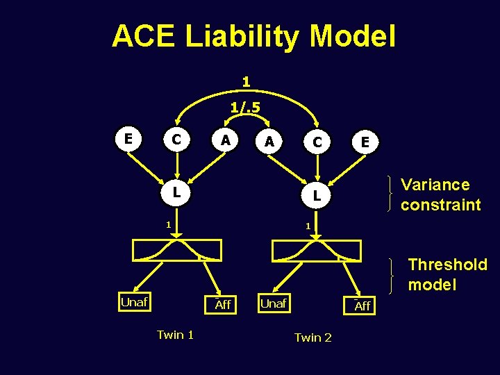 ACE Liability Model 1 1/. 5 E C A A C L E Variance